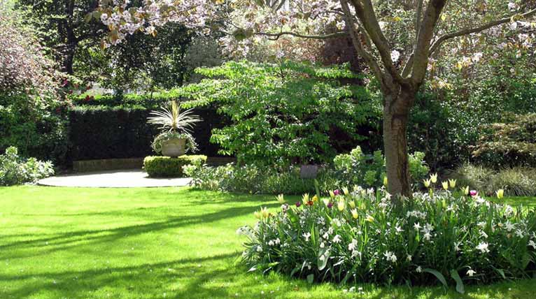 London garden square: stone urn circled by a Yew hedge