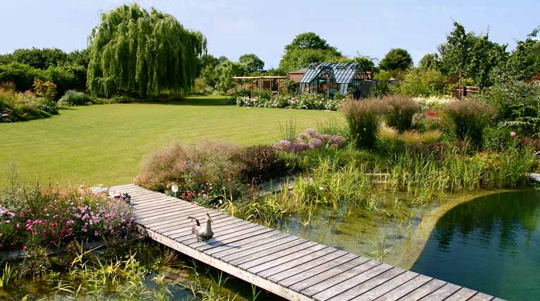 Swimming pond garden: bridge, lawn and greenhouse