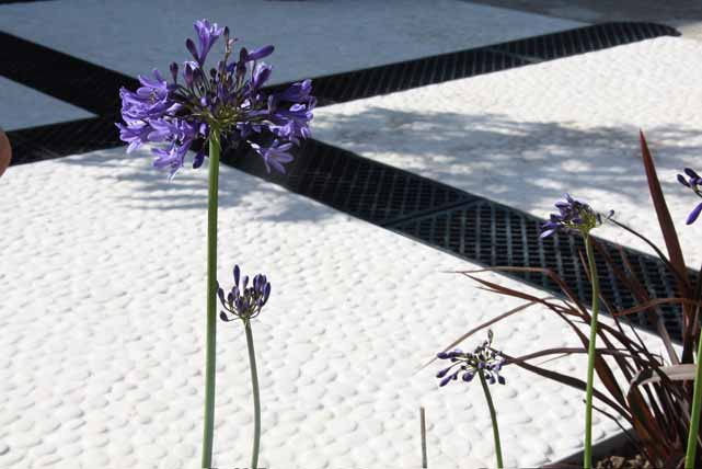 White pebbles contrast with cast iron rill covers